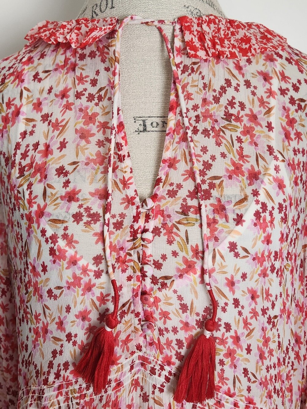 Anthropologie Floral Chiffon Maxi Dress - Picture 8 of 12